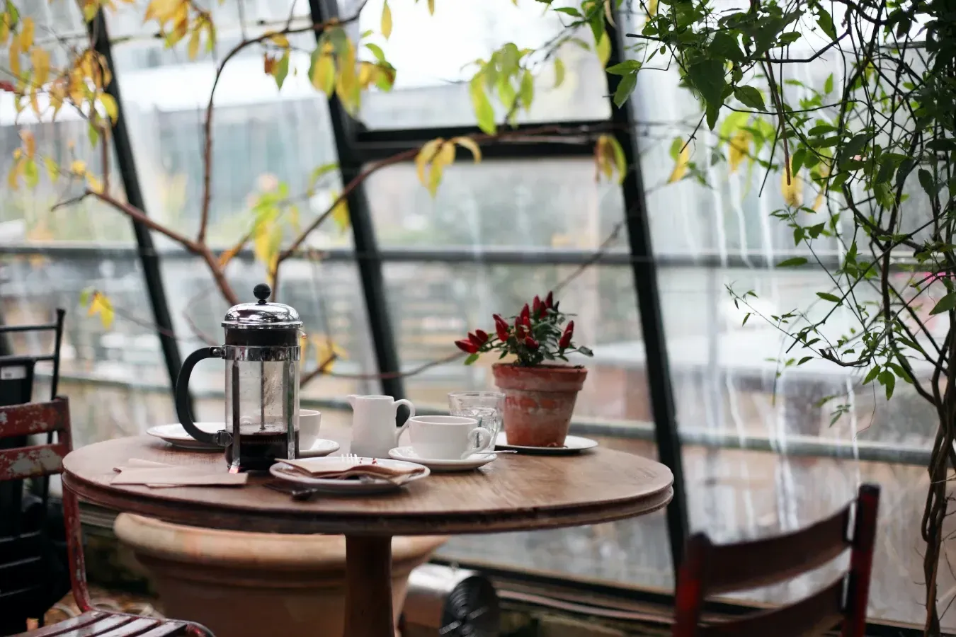 15 Cozy Things to Do at Home When It's Raining (Your Ultimate Rainy Day Guide)