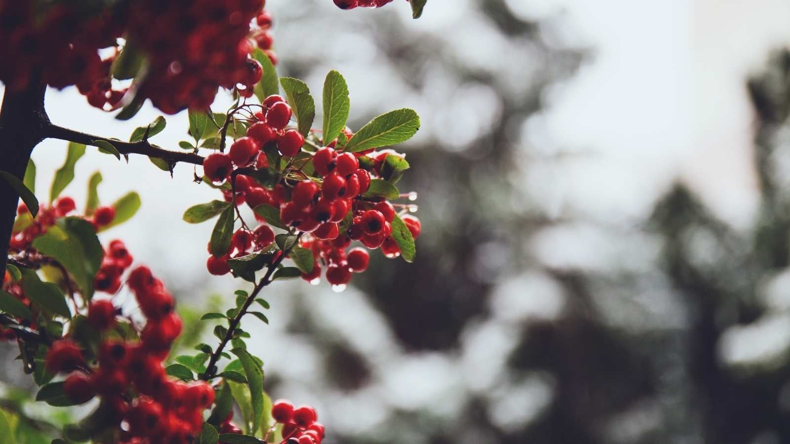 20 Things We Love About December