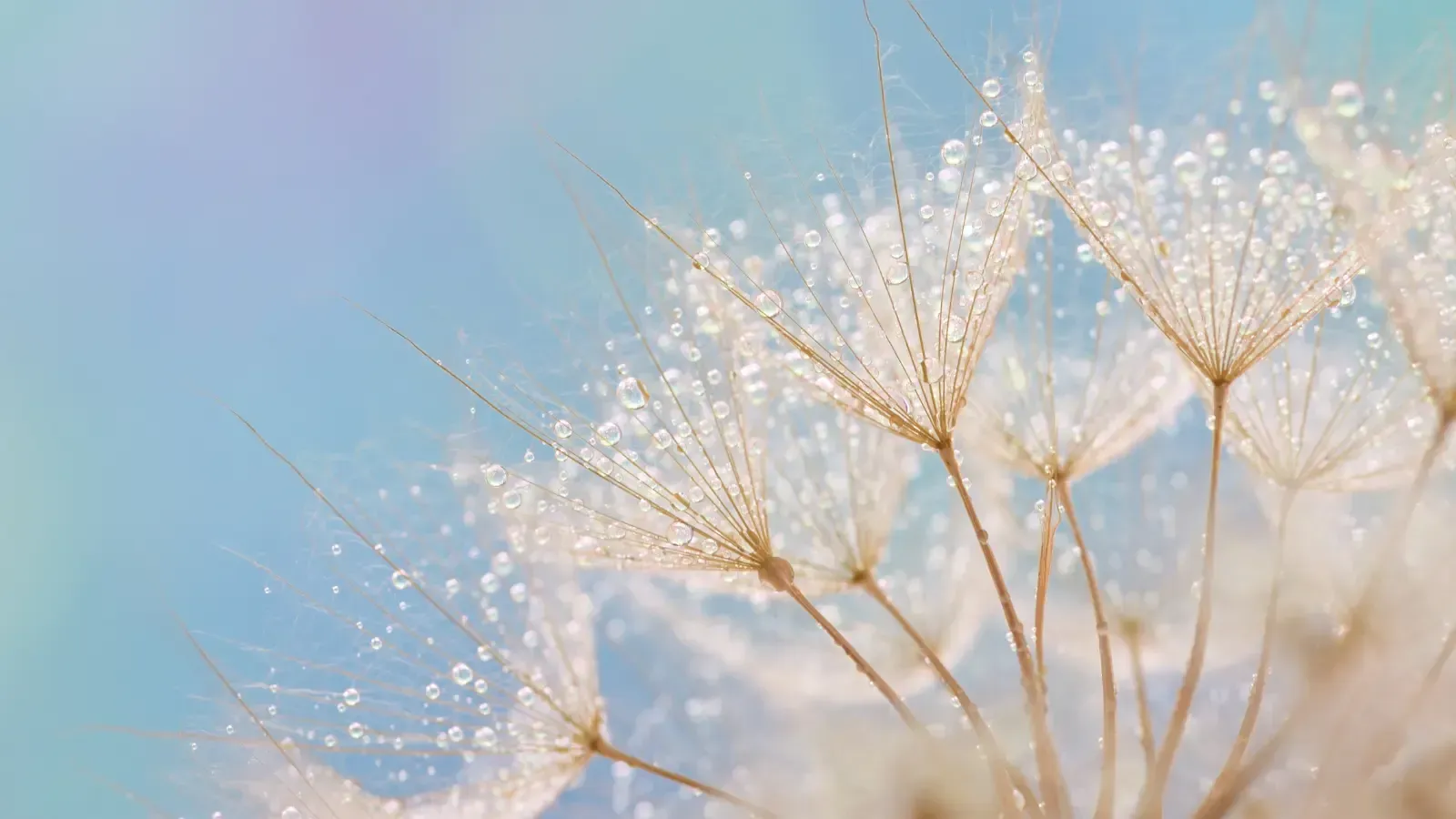 20 Things We Love About May