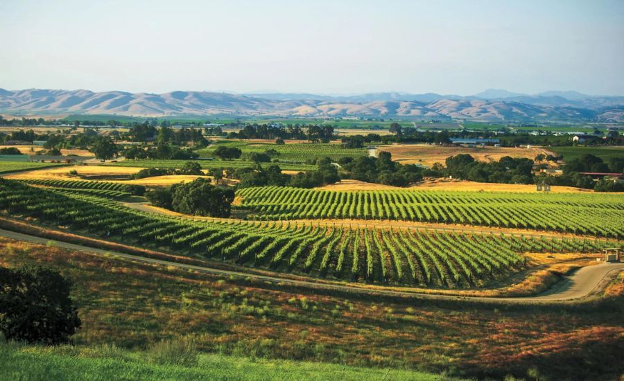5 west coast destinations (23).jpg