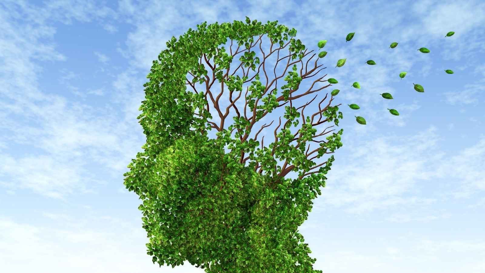 5 Ways To Train Your Memory