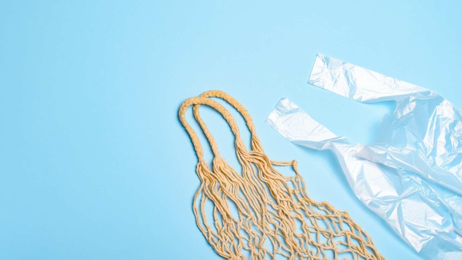 Zero Waste Living on a Budget: 15 Affordable Tips for Beginners (2025)