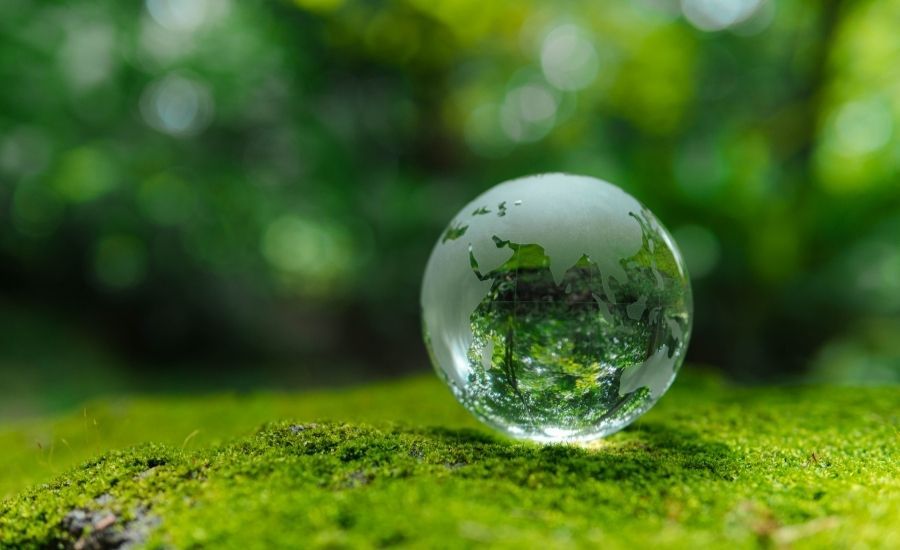 affordable strategies to reduce footprint