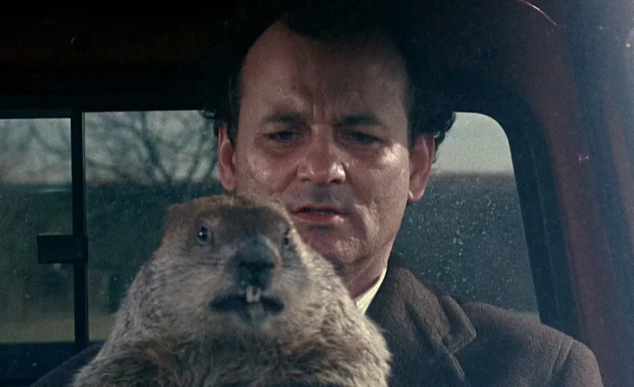 groundhog day