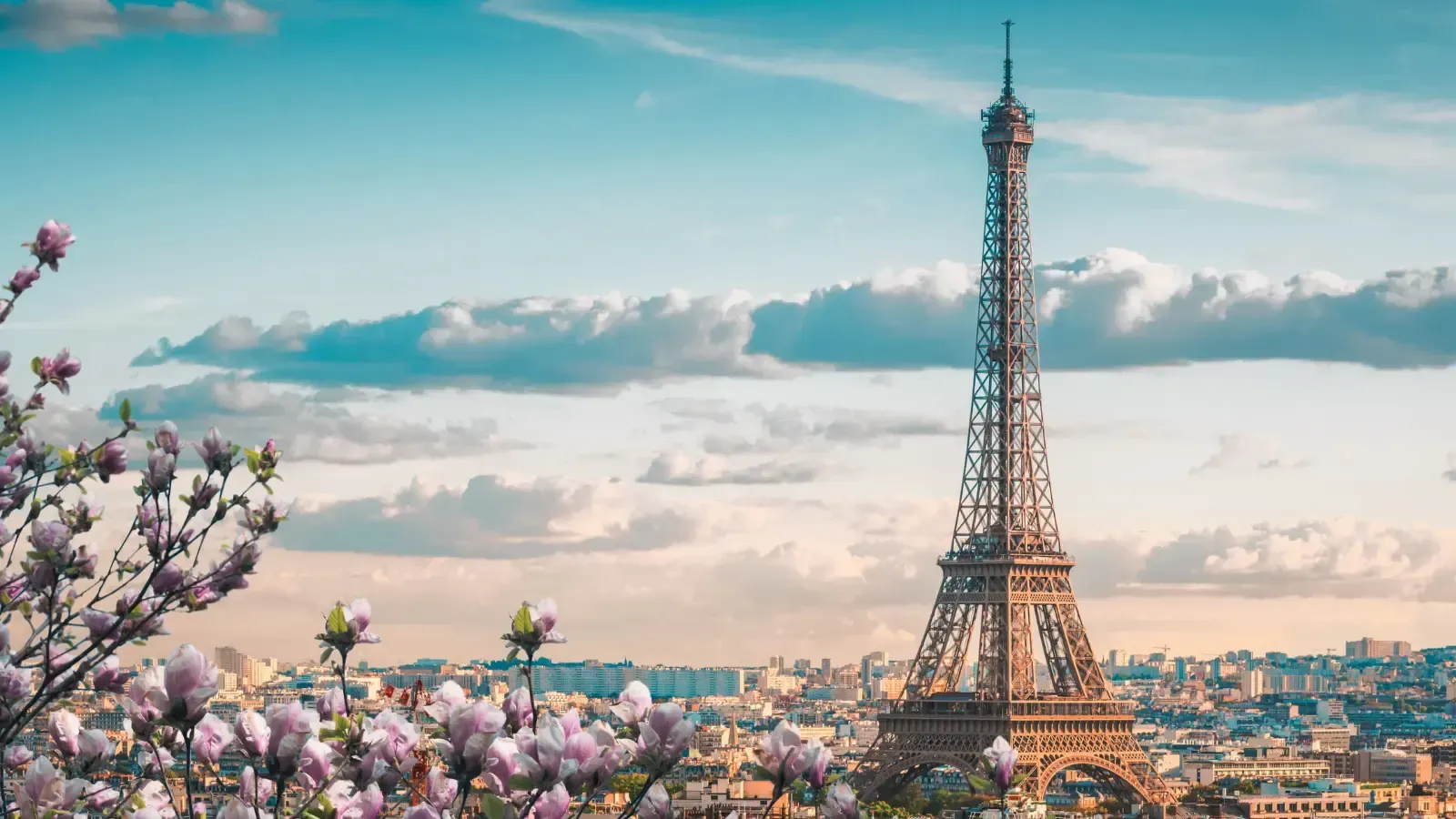 Your Guide to French Cinema From A European: Movies & Shows for That Parisian Je Ne Sais Quoi