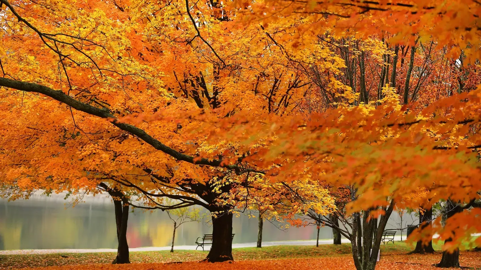 Fall Trip to Boston: A Working Gal's Guide to Autumn in Beantown
