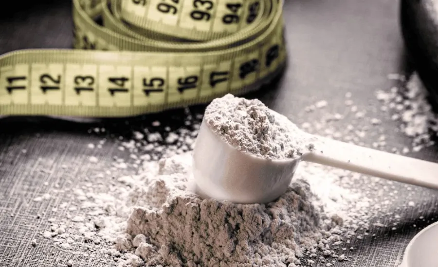 creatine powder for women