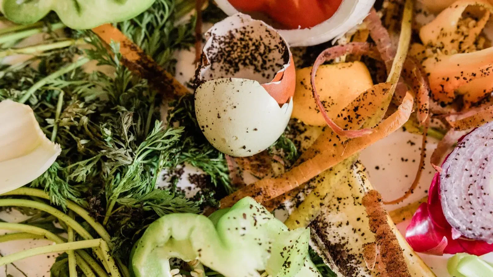 Reducing Food Waste: How Small Steps Can Make a Big Difference