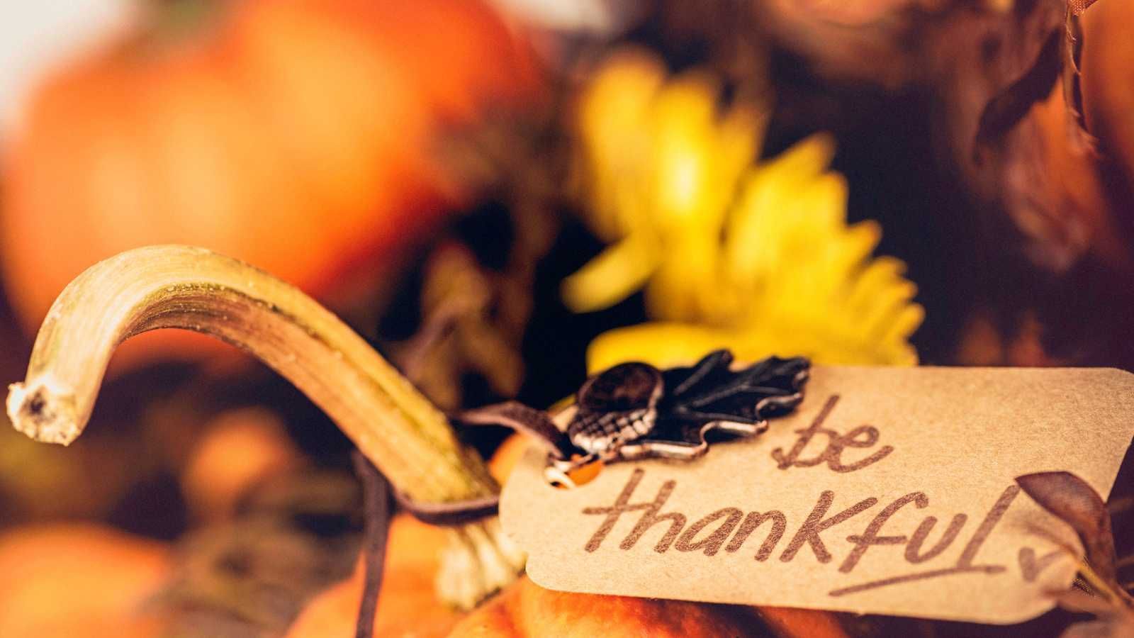The Power of Being Grateful