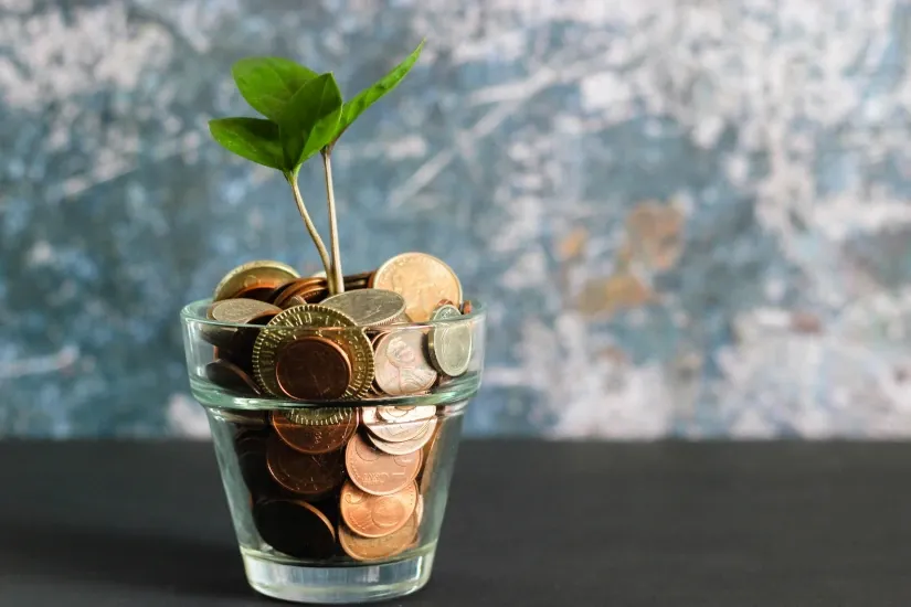 how to manage your finances as a freelancer 3.webp