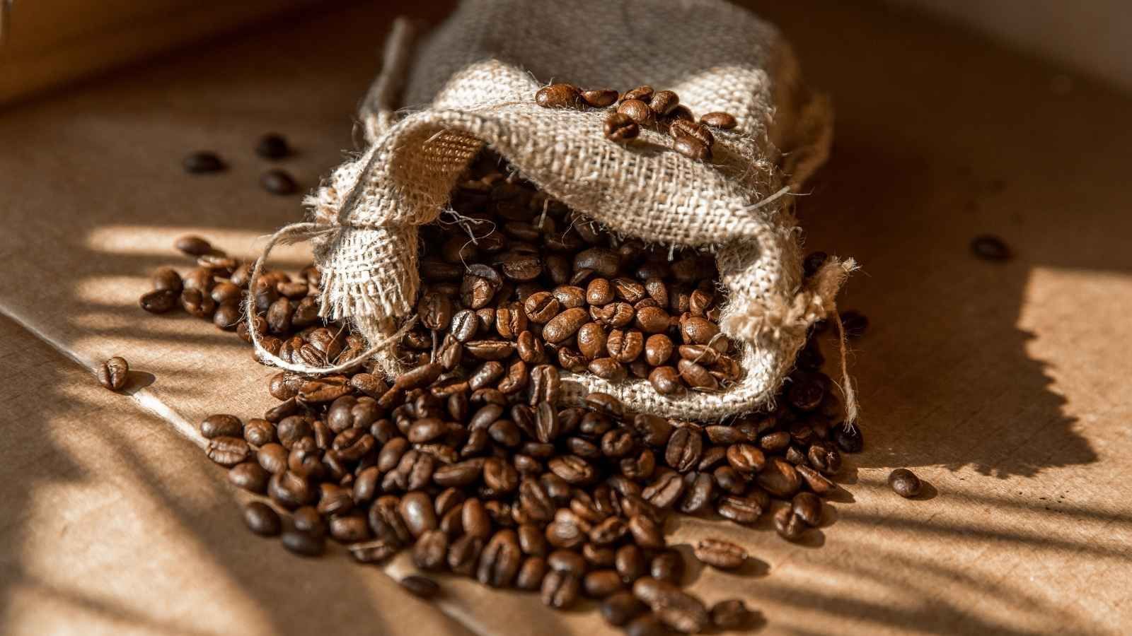 Is Caffeine Good For Our Health?