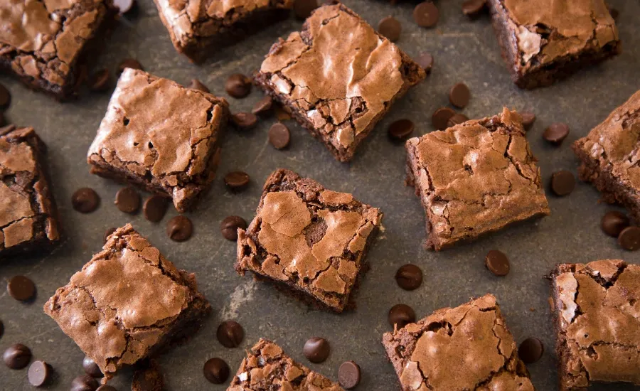 classic fudgy brownies for chocolate national day