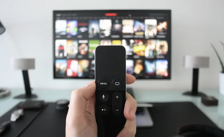 netflix new releases in august