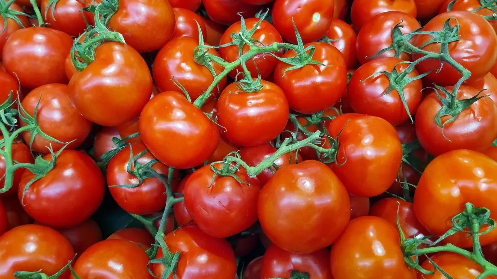 Peak Tomato Season: Five Dinners That Take Under 20 Minutes