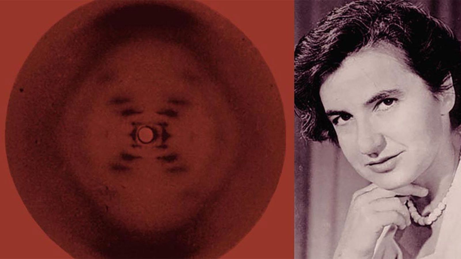 Rosalind Franklin: The Woman Who Discovered DNA and Never Got the Credit