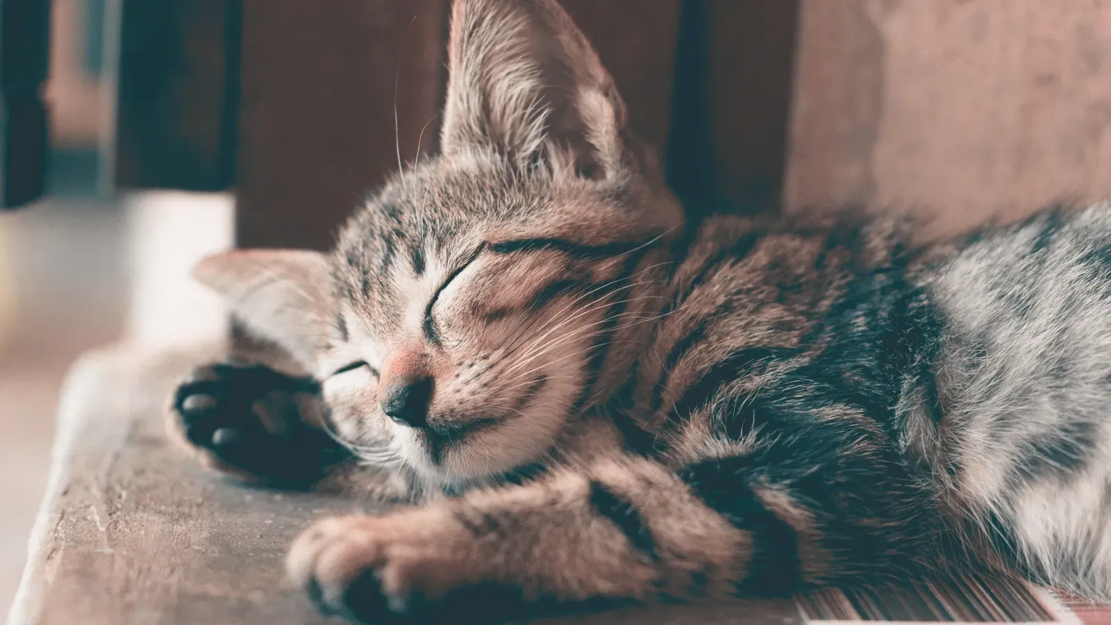 Sleep Hygiene 101: A Working Woman's Guide to Better Rest