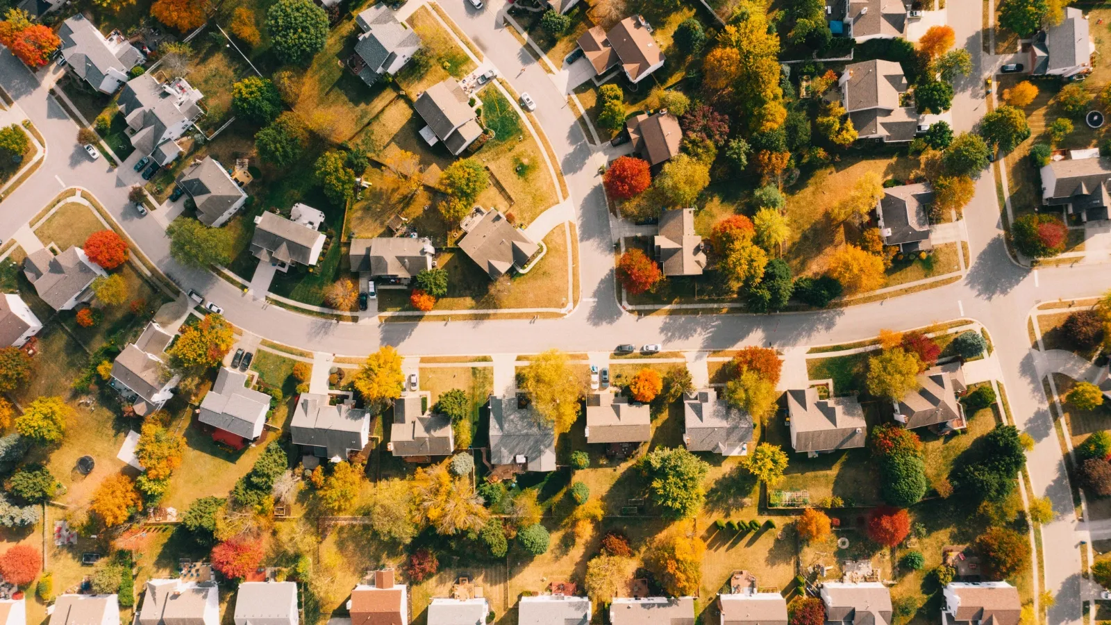 Everyone Online Hates the Suburbs. Everyone Online Is Twenty-Six.