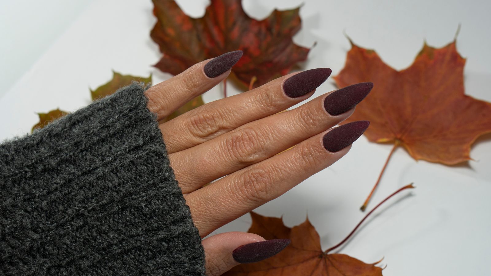 November Nail Ideas: 10 Thanksgiving Nail Designs for Fall 2025