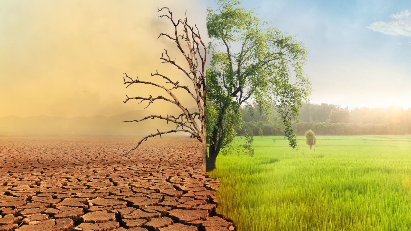 Why Change Can Feel So Daunting?