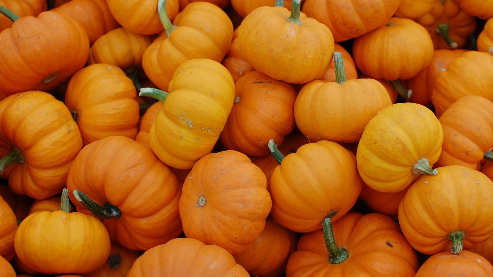 20 Things We Love About October