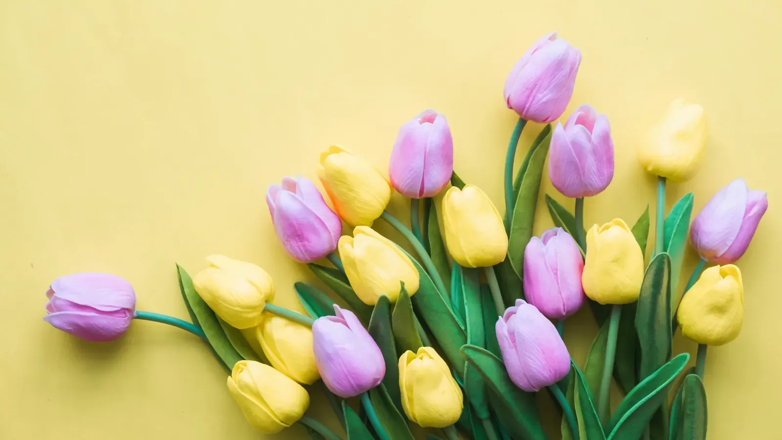 20 Things We Love About March