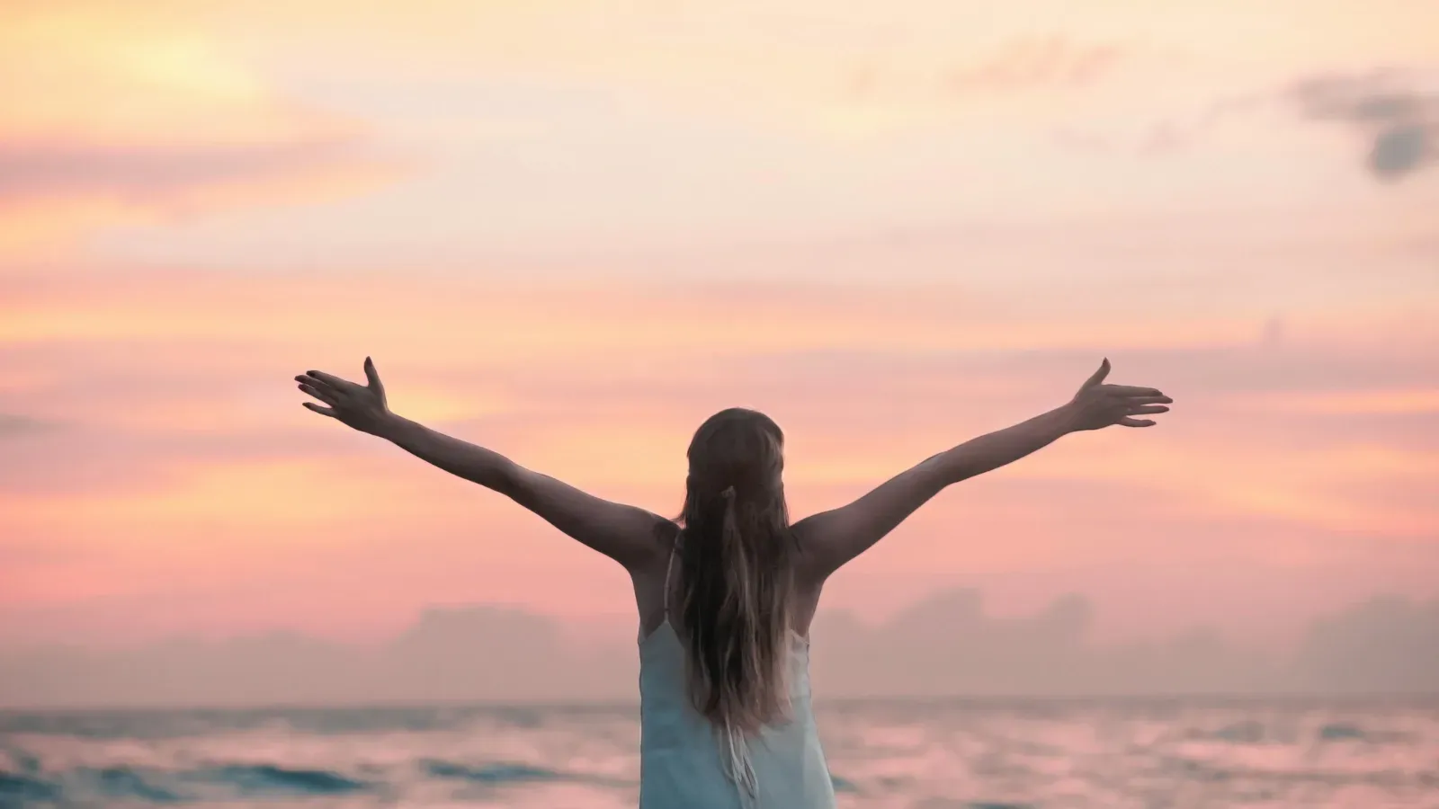 The Science of Perspective: Why Gratitude Is a High-Performance Survival Skill, Not a Trend