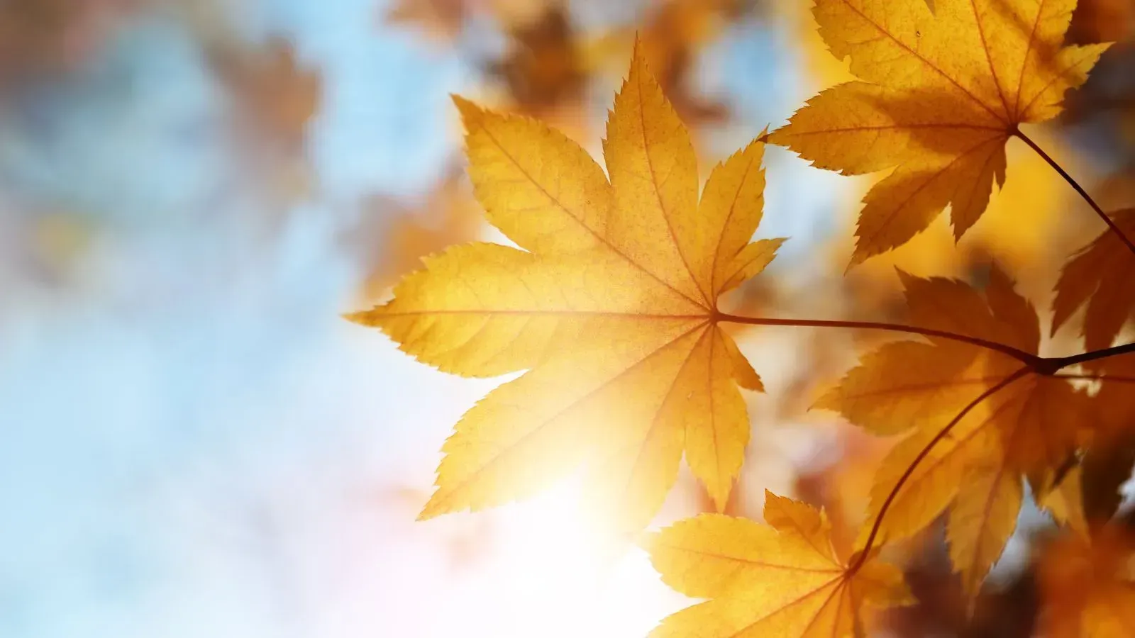 20 Things We Love About September